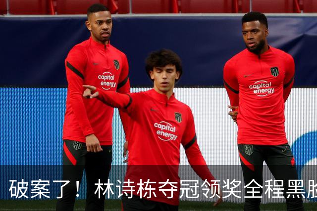 破案了！林诗栋夺冠领奖全程黑脸，终于知道他为什么笑不出来