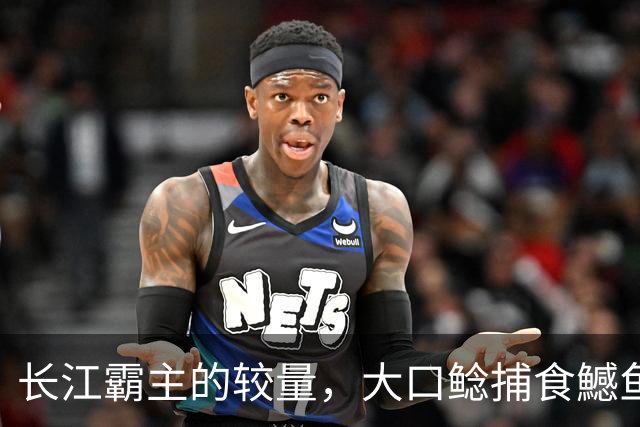 长江霸主的较量，大口鲶捕食鱤鱼，猎物卡嘴无法脱身，双双殒命